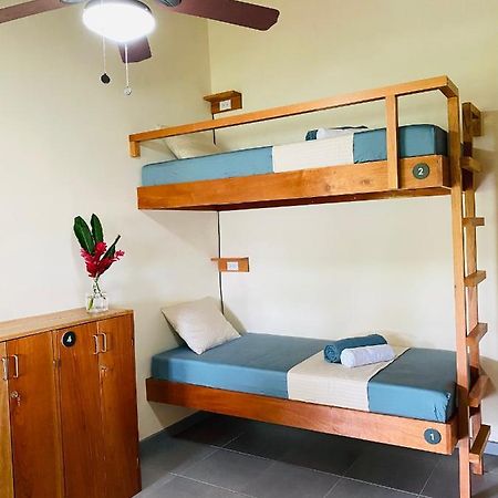 El Hostel Del Patio Tortuguero Eksteriør bilde