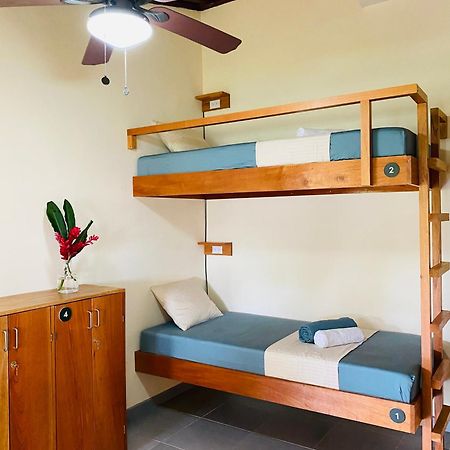 El Hostel Del Patio Tortuguero Eksteriør bilde