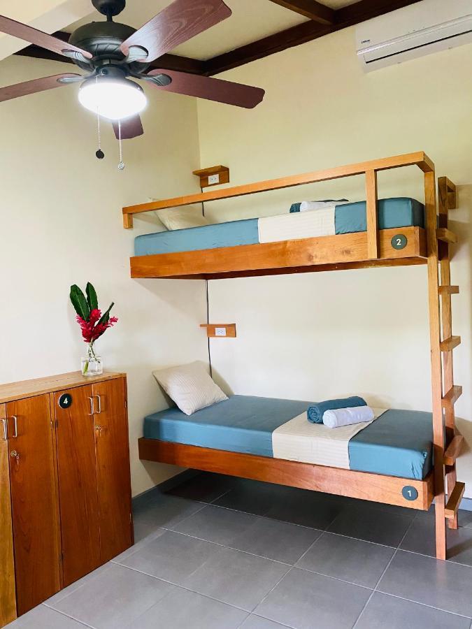 El Hostel Del Patio Tortuguero Eksteriør bilde