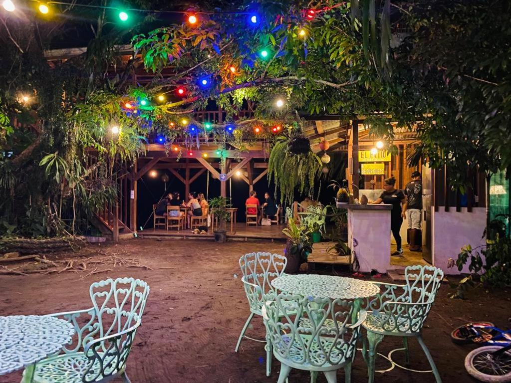 El Hostel Del Patio Tortuguero Eksteriør bilde