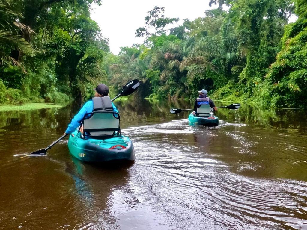 El Hostel Del Patio Tortuguero Eksteriør bilde