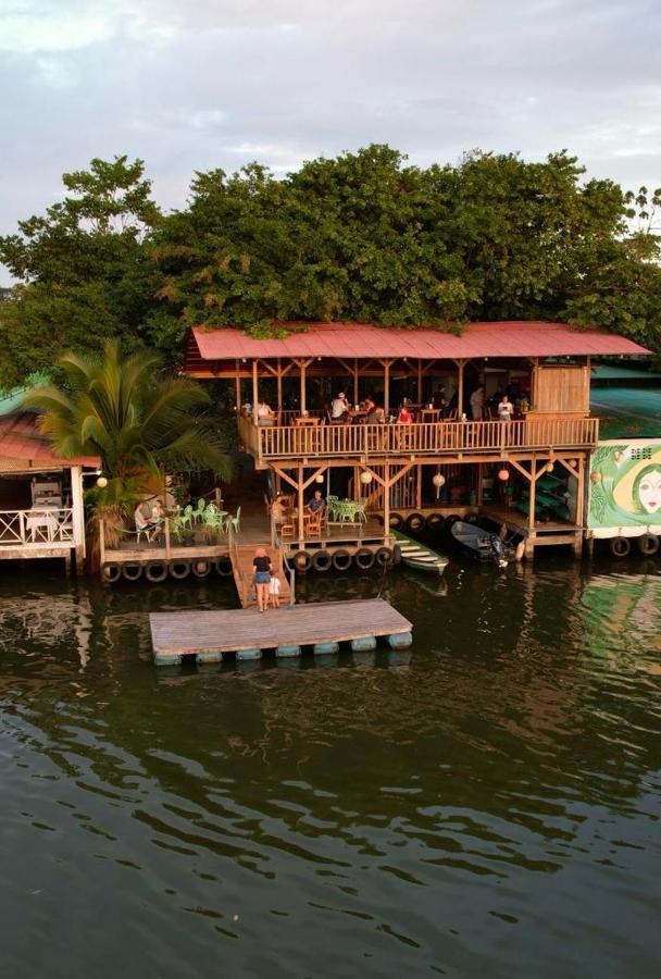 El Hostel Del Patio Tortuguero Eksteriør bilde