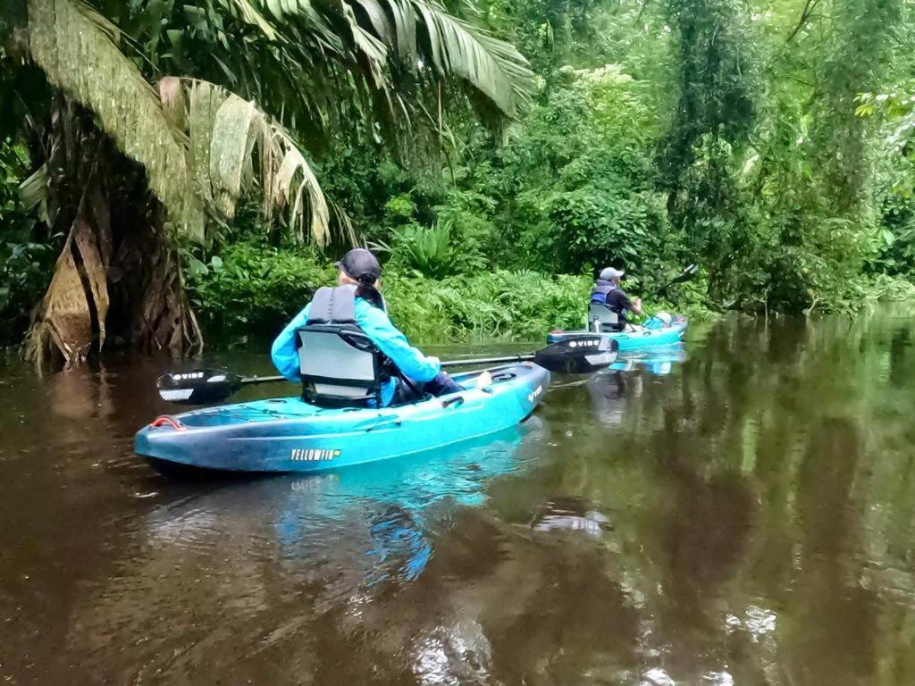 El Hostel Del Patio Tortuguero Eksteriør bilde