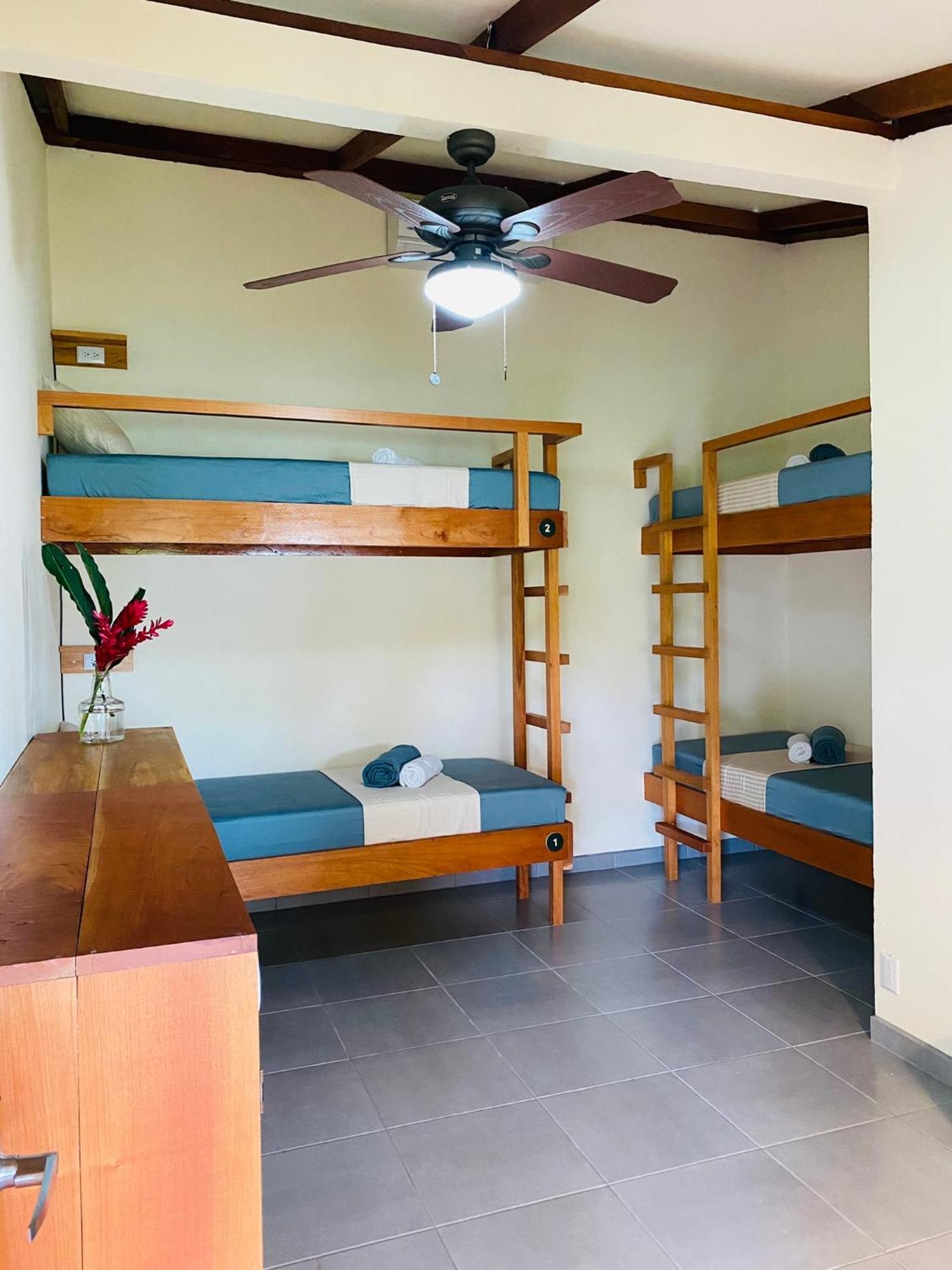 El Hostel Del Patio Tortuguero Eksteriør bilde