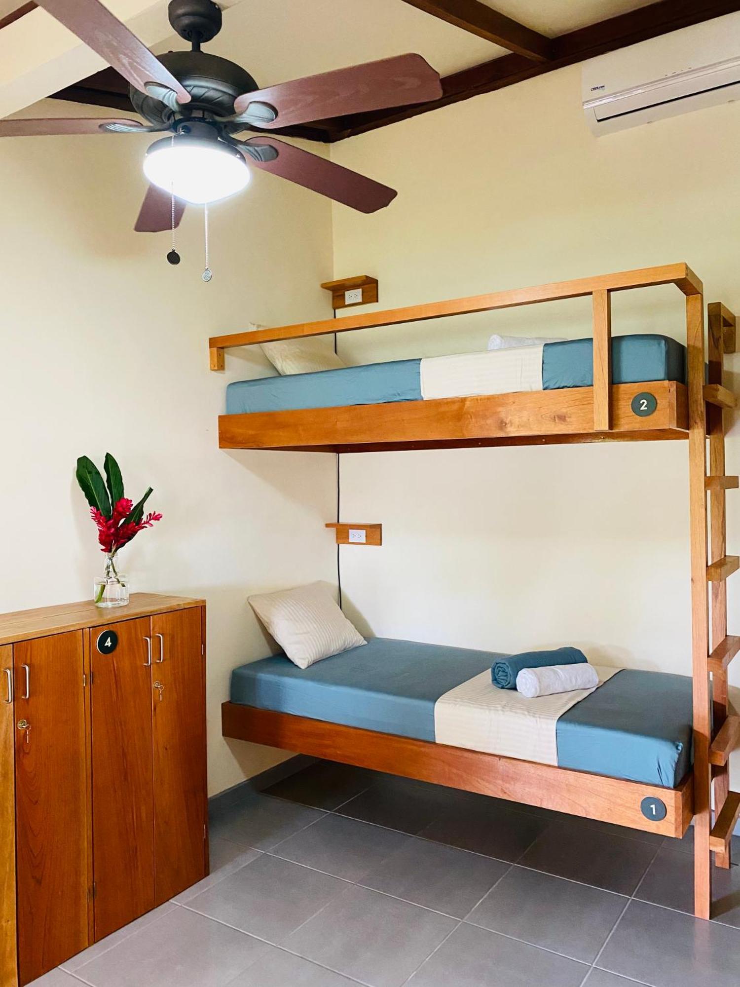 El Hostel Del Patio Tortuguero Eksteriør bilde